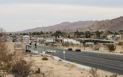 Joshua Tree, California Travel Guide: Best Tours, Sights and How to Plan Your Trip