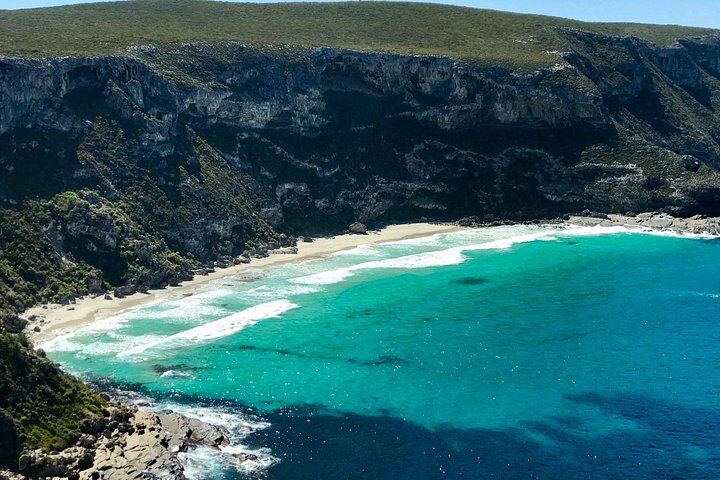 Best Tours & Experiences in Kangaroo Island 15 Kangaroo Island Shore Excursion Scenic Trail Tour