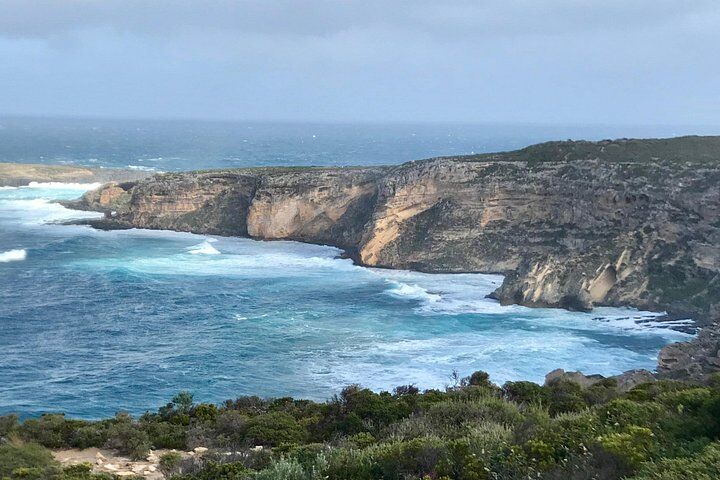 Best Tours & Experiences in Kangaroo Island 14 Kangaroo Island Small‑Group Scenic & Wildlife Day Tour