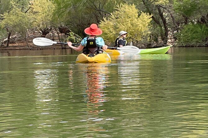 Die besten Touren und Erlebnisse in St George, Utah 22 Kayak SUP Tour Birds Beavers Turtles Maybe Even Cliff Jumping - St George Utah