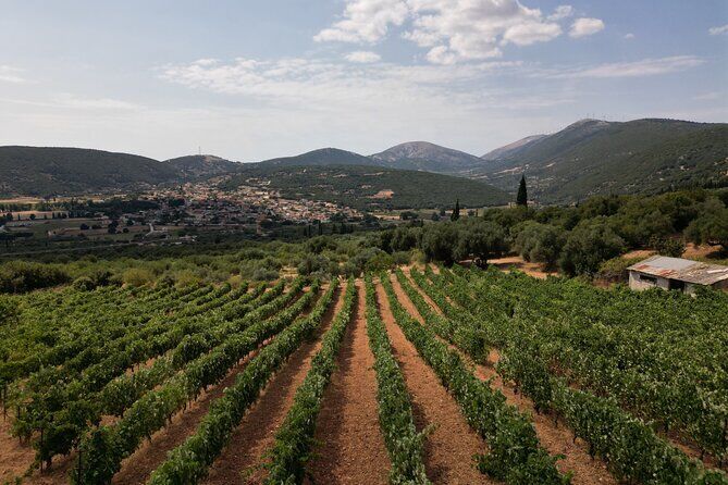 Kefalonia Wine Tour - Kefalonia Greece