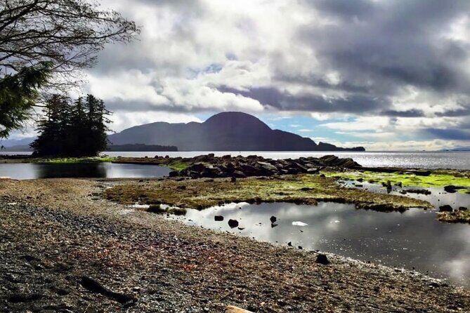Ketchikan City Totems and Wildlife Highlights Tour - Ketchikan Totem Poles