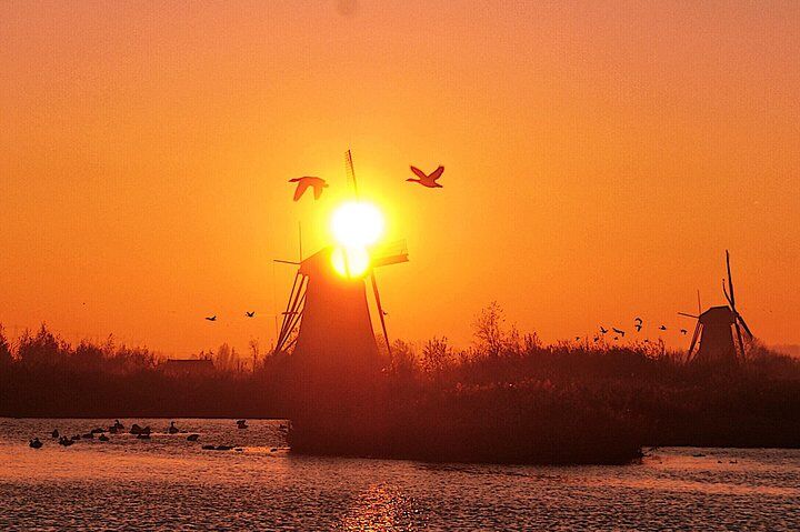 Best Tours & Experiences in Kinderdijk Netherlands 13 Kinderdijk Photography tour