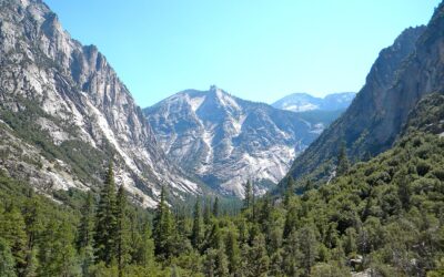 Kings Canyon National Park Guide: Giant Sequoias, Canyon Views and Best Things to Do