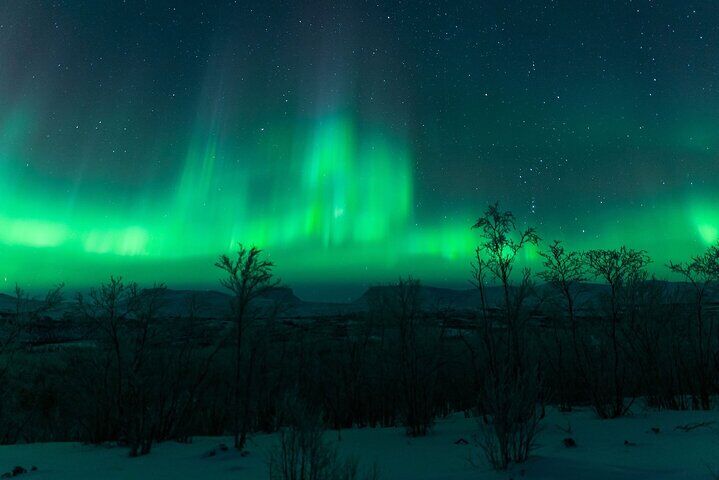 Kiruna Northern Lights Tour with Photographer
