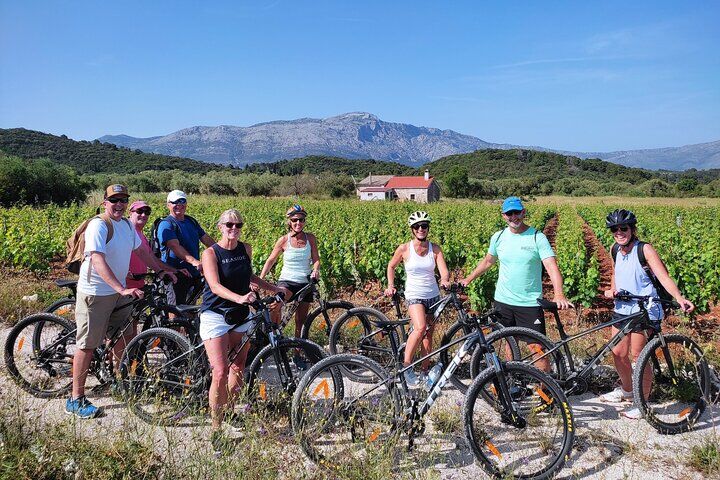 Korcula Bike & Wine Tour | Wine Tasting in Lumbarda