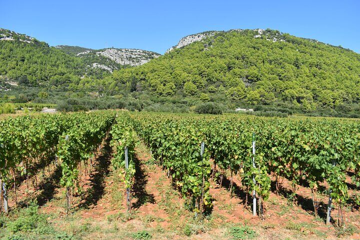 Korcula Wine and Sightseeing Tour Views Tastings and Stories