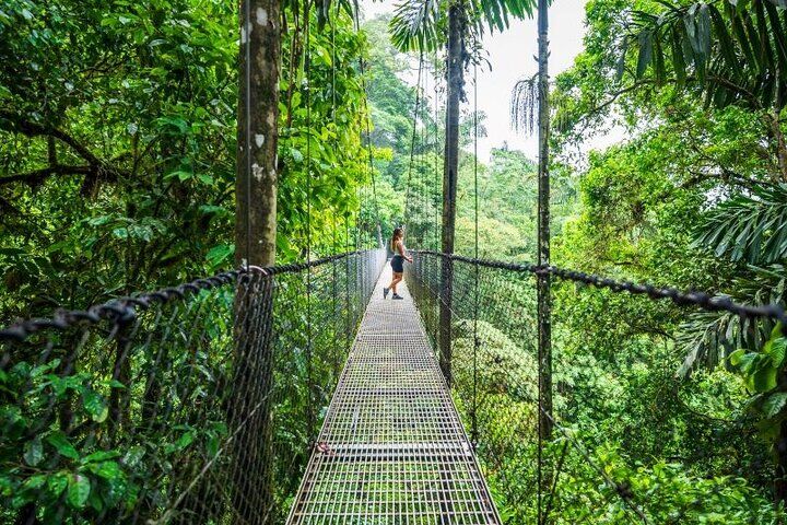 La Fortuna: Mistico Park Hanging Bridges Guided Tour