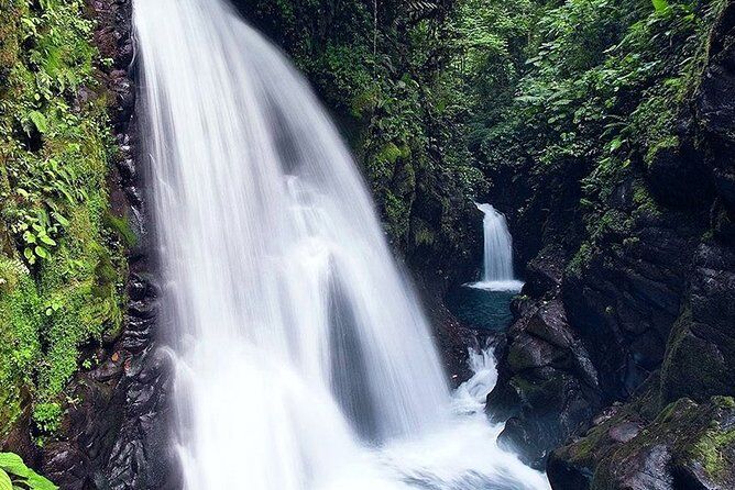 La Paz Waterfall Gardens and Wildlife Refuge Day Tour from San Jose