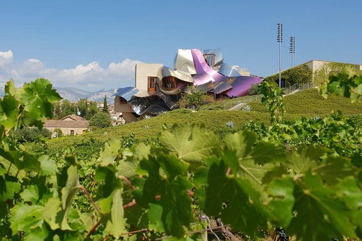 La Rioja wines and Laguardia tour from Pamplona