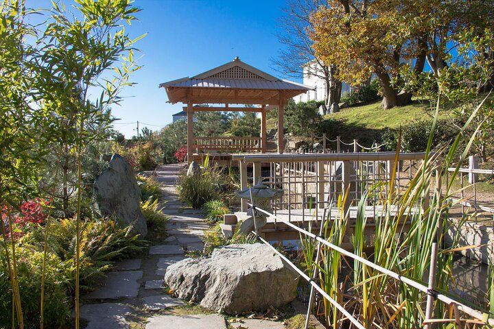 Melhores passeios e experiências em Waterford Ireland 17 Lafcadio Hearn Japanese Gardens Admission Adult Ticket