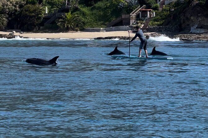 Laguna Beach Stand Up Paddle Tour - Laguna Beach California