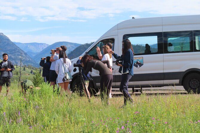 Lamar Valley Wildlife Van Tour from West Yellowstone Upper Loop Tour - Cody Yellowstone Wyoming
