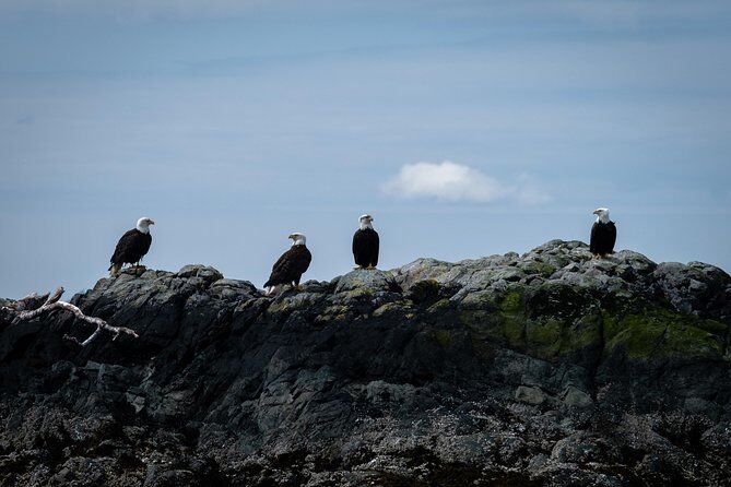 Lighthouse Totems and Eagles Excursion - Ketchikan Totem Poles