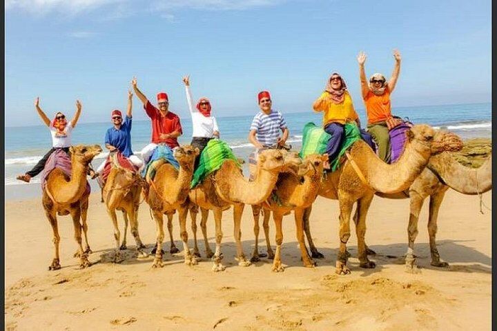 Best Tours & Experiences in Tangier 11 luxury 4 Hour Private Tour of Tangier