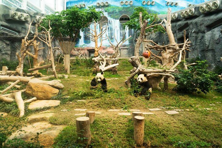 Best Tours & Experiences in Macau 10 Macau Private Tour with an Insider