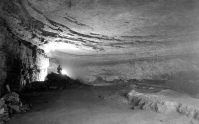 Mammoth Cave National Park Guide: Cave Tours, Hikes and What to Know Before You Go