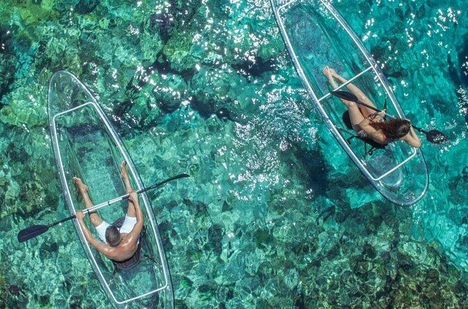 Mangrove Cay Tours