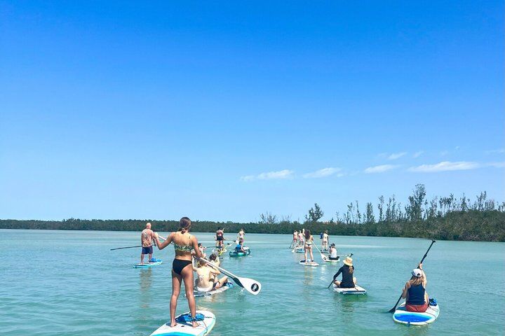 Mangroves, Midnight Pass & Hidden Beach Kayak Tour | Siesta Key