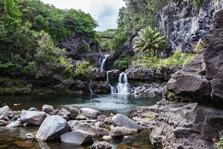 Maui: Road to Hana Adventure with Farm to Table Lunch