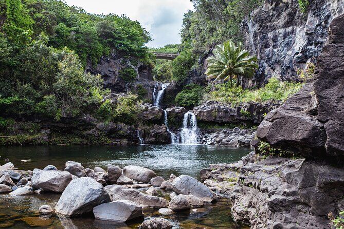 Maui Road to Hana Tour Full Circle Mercedes Vans 10 People Max - Hana Highway Maui