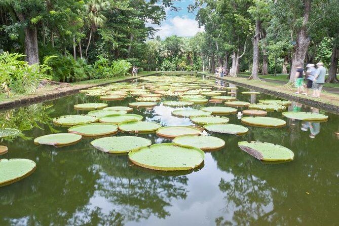 Mauritius Private North Day Tour Botanical Garden Sugar Museum Rum Tasting Port Louis