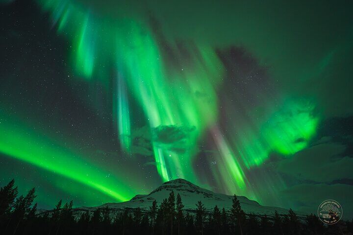Minibus Northern Lights Chase with Photography from Tromsø