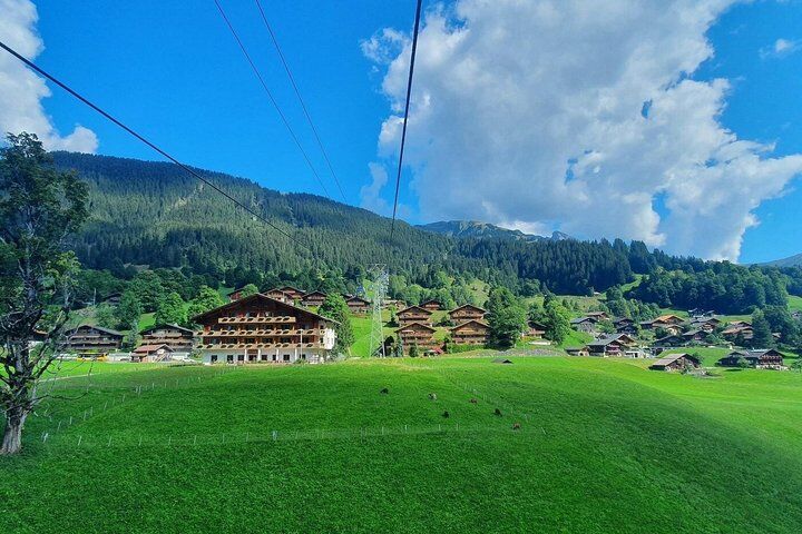 Mount First Cable Car and First Cliff Walk Grindelwald
