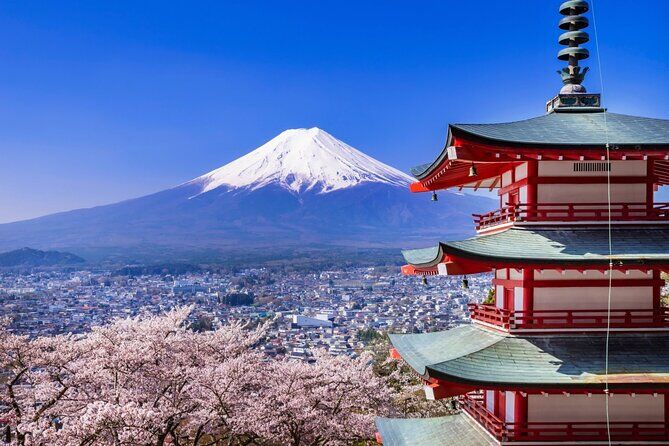 Mejores tours y experiencias en Tokio 7 Mount Fuji Full Day Tour from Tokyo with English Speaking Guide
