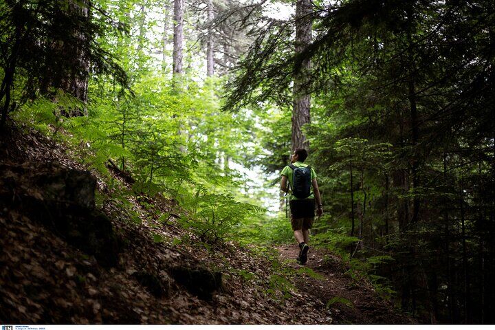 Die besten Touren und Erlebnisse am Olymp, Griechenland 20 Mount Olympus Beyond the Postcards: Myths, Nature & Hidden Paths