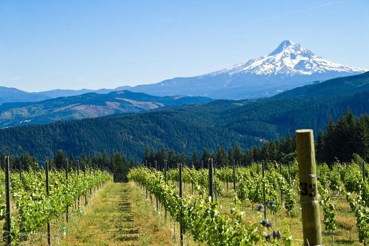 Les meilleurs tours et expériences à Hood River Fruit Loop 20 Mt. Hood Loop Tour from Portland