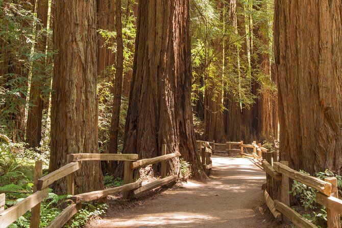 Muir Woods and Sausalito Tour - Sausalito California