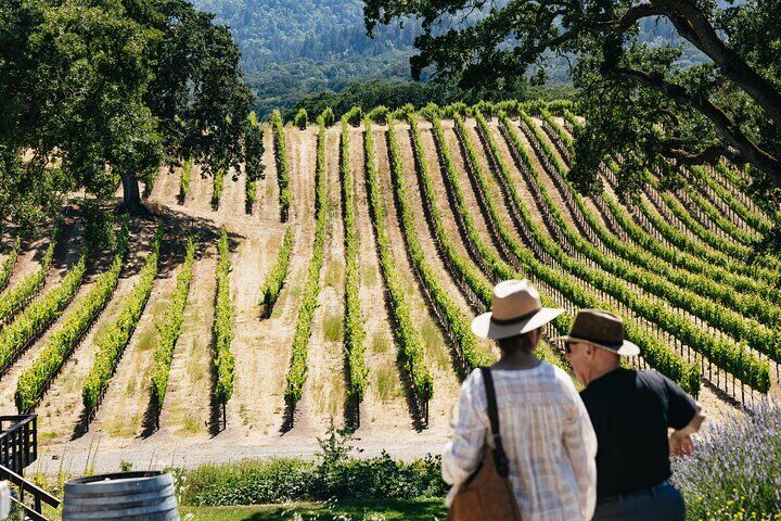 Best Things To Do in San Francisco: Alcatraz Island Tours & Golden Gate Bridge Views (2026) 12 Napa and Sonoma Wine Country Full-Day Tour from San Francisco