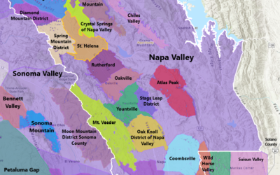 Napa Valley Wine Tours: How to Plan the Perfect Wine Country Day