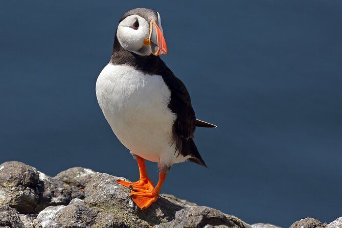 North East Coastal Trail Small Group Day Tour from Aberdeen - Aberdeen Scotland