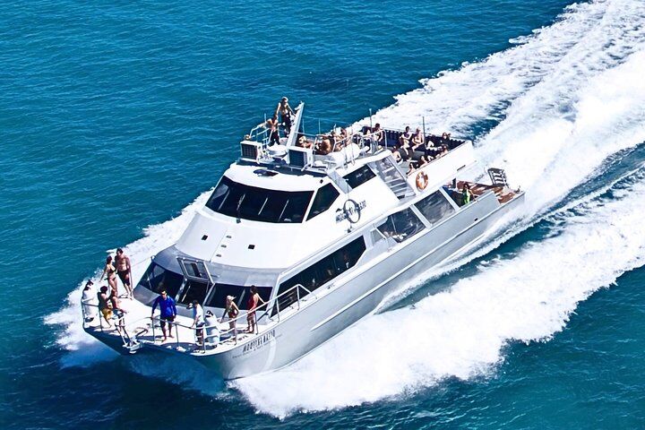Melhores passeios e experiências em Cairns 13 Ocean Freedom: Great Barrier Reef Stylish Snorkel, Dive Reef Tour