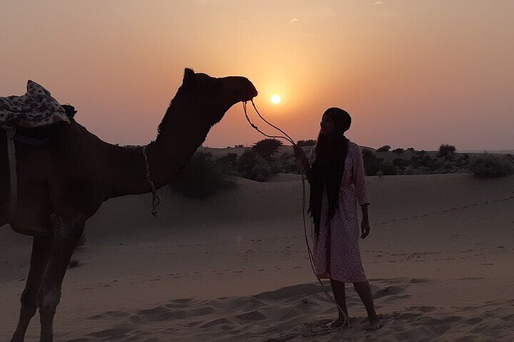 Best Tours & Experiences in Jaisalmer 13 Off the beaten track overnight Camel Safari Tour Jaisalmer
