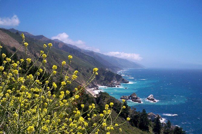 One Day Big Sur Monterey California Pacific Coast Tour