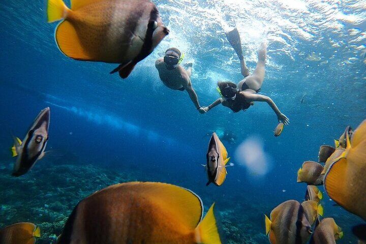 Best Things To Do in Nusa Penida: Kelingking Beach & Angel's Billabong and Broken Beach 13 One Day Nusa Penida Island West with Snorkeling