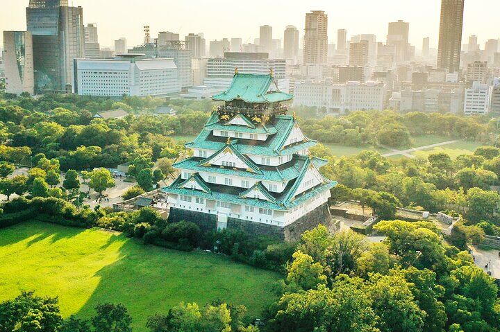 Osaka Castle Walking Tour and Castle Tower Admission