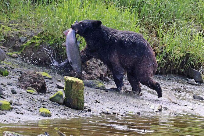 Personalized Alaskan Adventure with a Local Your Ride to All the Best Places - Ketchikan Totem Poles