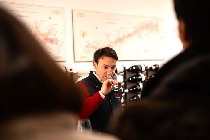 Best Things To Do in Dijon: Palace of the Dukes of Burgundy & Owl's Trail 15 Pinot Noir Masterclass - Wine tasting in Dijon