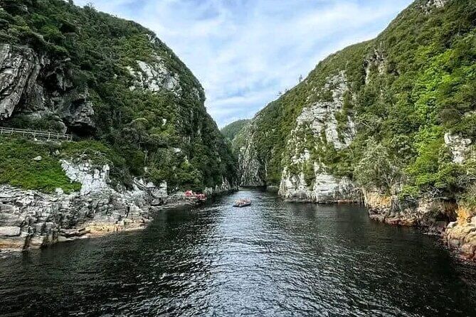 Port Elizabeth Tsitsikama National Park Full Day