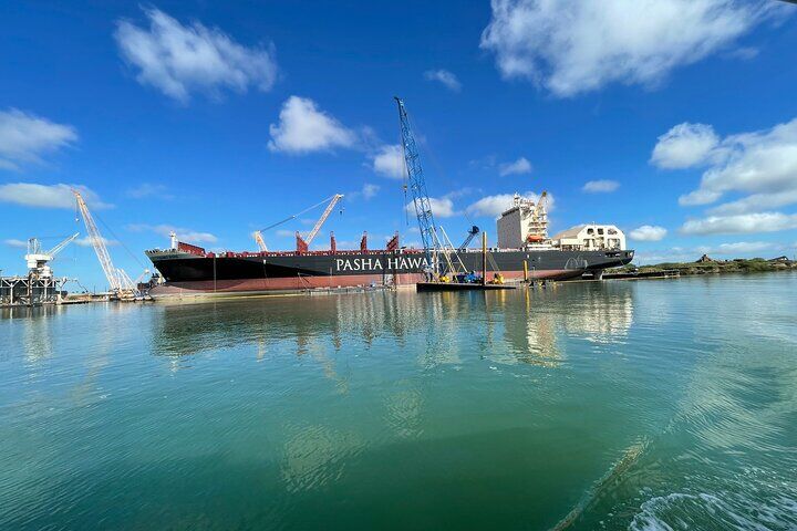 Migliori tour ed esperienze a Padre Island Texas 22 Port of Brownsville Nature Tour