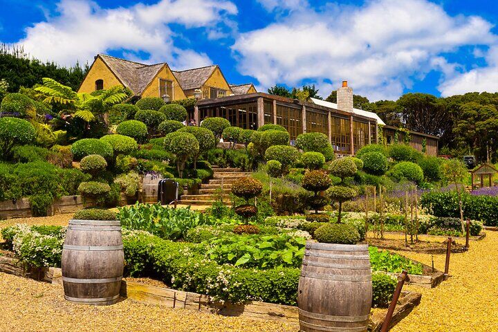 Best Things To Do in Waiheke Island: Vineyard Tours & Oneroa Beach 13 PREMIUM WINE tasting = Waiheke Island Wine Tours MAX 11 clients !