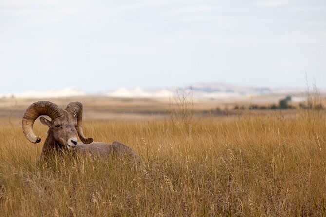 Private Badlands National Park Day Tour