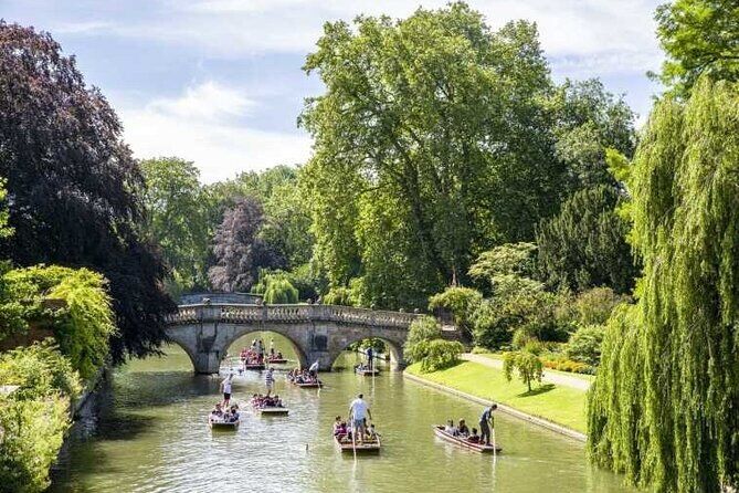 Private Cambridge Punting Tour - Cambridge Punting England