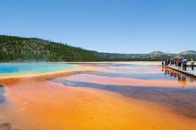 Private Full Day Yellowstone Snowshoe Safari from Paradise Valley - Cody Yellowstone Wyoming