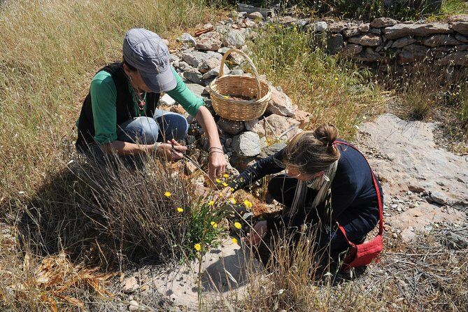 Private Greek Cooking Class and Foraging Experience in Syros with Transfers - Syros Greece