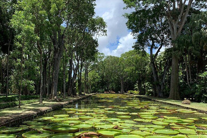 Private Guided Tour of Northern Mauritius with Shopping in Port Louis
